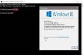 Windows 10 Pro RTM x64 Español Spanish (PC)
